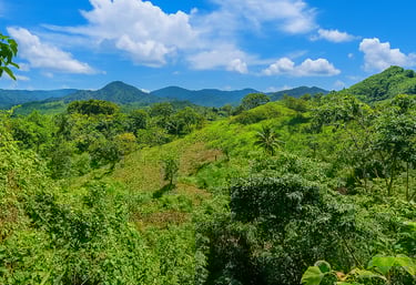 Land for sale Miches