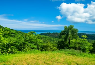 Land for sale Miches