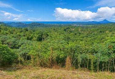 Land for sale Miches