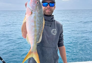 how to catch yellowtail