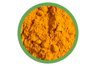green tea extract powder