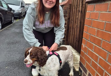 dog walker in doncaster