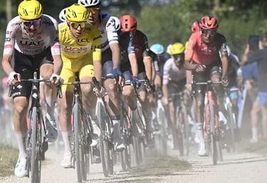 alt="Distribución de bicicletas por Alberto Valiente"