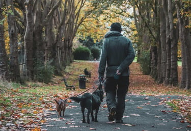 Man walking dog in neighborhood