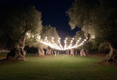 wedding villa and a group of people standing around a large tree