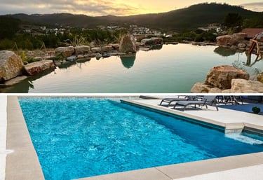 Comparison of natural pools vs chlorine & saltwater pools—health, cost & eco overview | Aqua Vitae