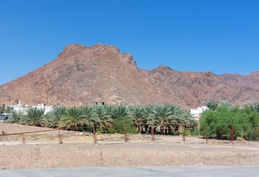 ziyarah in Mecca and Madina