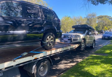 Various old and damaged cars collected by MS Car Removal in Brisbane