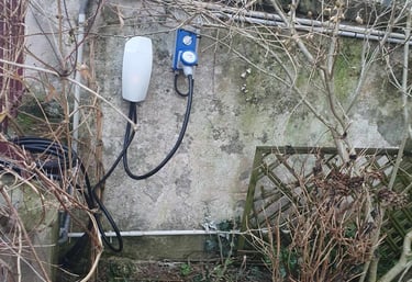 Borne électrique pour véhicule