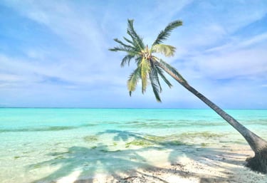 Palawan expedition tours – where every night feels like paradise