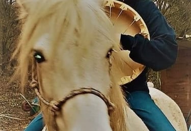 Shaman Horse