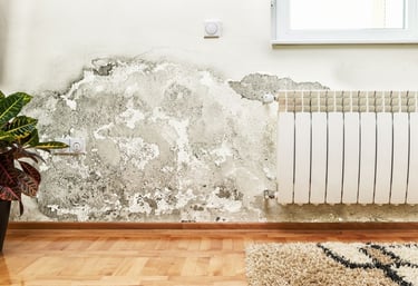 Problemas de humedad en paredes