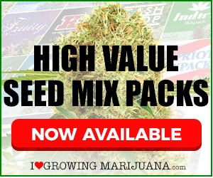 cannabis seed mix packs