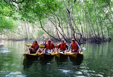 krabi sea kayaking mangrove forest ao thalane