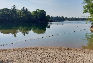 ta teang swimmin basin thai mueang phang nga