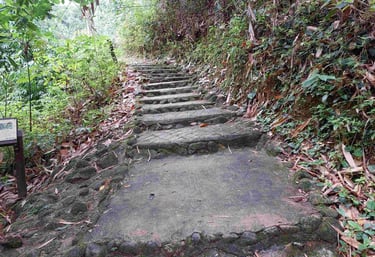 ton prai waterfall nature trail khao lak phang nga thailand