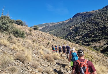 a group of people walking up a hill