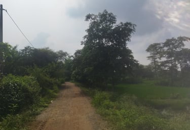 c.c. road