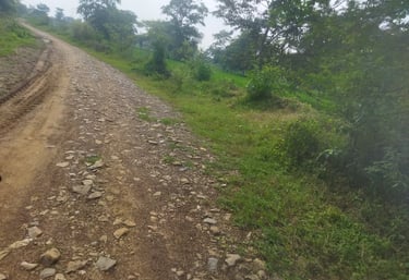 road