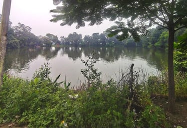 pond