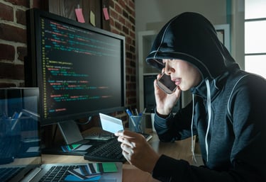 Fraud Awareness and Risk Management in the Public Sector
