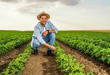 filtrox bueiros, filtros para bueiros, boca de lobo, bueiro ecologico, bueiro inteligente
