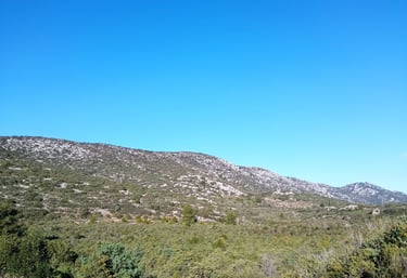 un paysage des Corbières