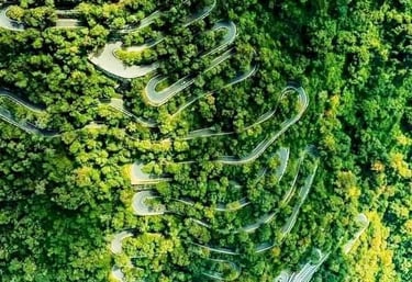 Scenic drive with multiple hairpin bends on the way to Yercaud, perfect for hill station tours.