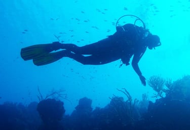 Kate scuba diving in the water on a tropical reef