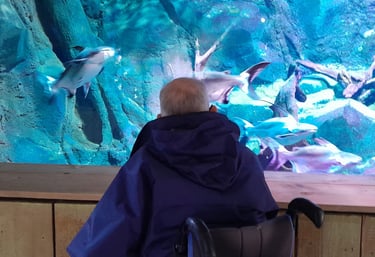 sortie à l'aquarium en fauteuil roulant