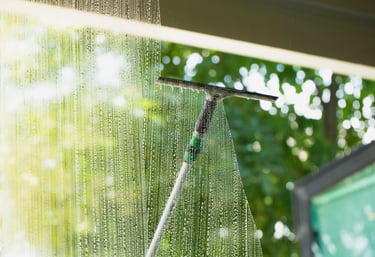 Traditional and High Reach Window Cleaning
