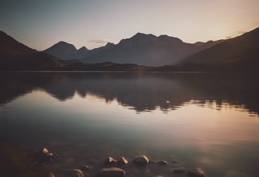 viBBes - positive vibes social media platform for business