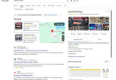 AURA PET SHOP DI GOOGLE