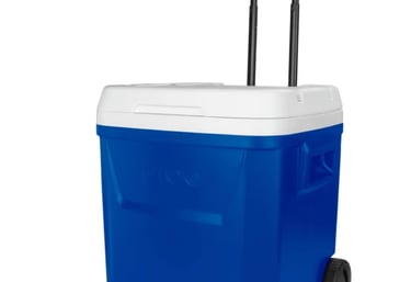 Ice chest rental 30a Miramar Beach