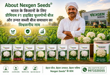 Smiling Indian farmer standing with Nexgen F1 hybrid cauliflower seeds and fresh vegetables.