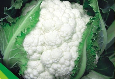 Fresh white cauliflower head with vibrant green leaves, ideal for healthy vegetable recipes.
