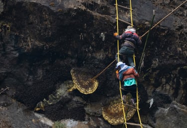 honey hunting in nepal