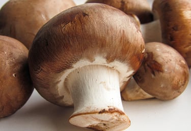 mushroom nutrition and benefits