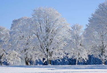 Da Xue - Greater Snow