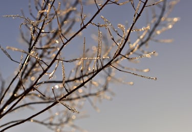 Li Dong - Beginning of Winter