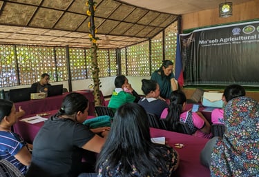 "Consultant conducting a workshop with clients, focusing on social and sustainable development" 