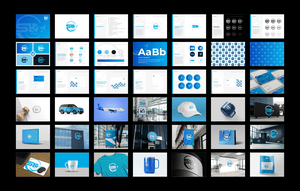 Premium Brandbook kūrimas