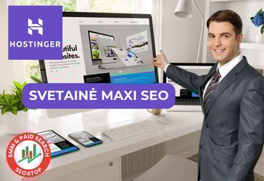 Svetainė MAXI SEO