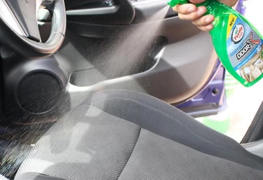 Odor Elimination & Sanitization