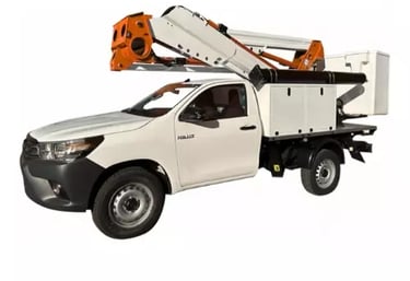 Pick up con cesta elevadora
