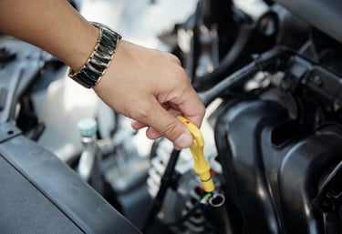 a person holding a engine oil dip stick in their hand