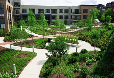 lawn grass suppliers in Vijayawada, lawn grass suppliers Vijayawada