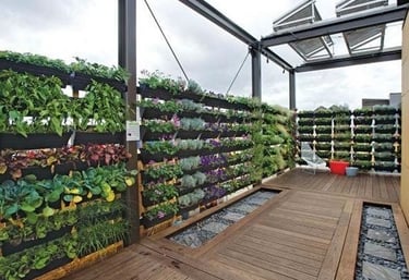 lawn grass gardening in Hyderabad