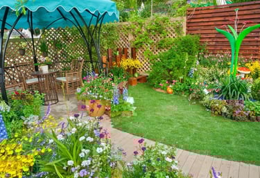 lawn grass suppliers in Visakhapatnam