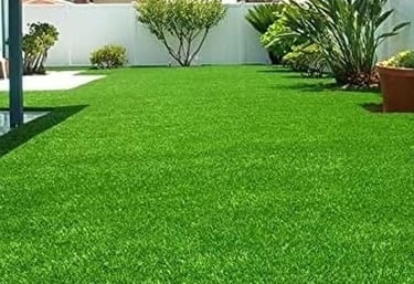 lawn grass suppliers in Hyderabad